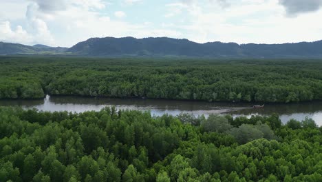 aerial retreats from lone boat motoring on vast mangrove river system