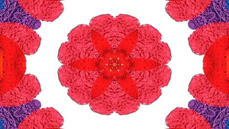 abstracto flores coloridas concepto de flora patrón simétrico ornamental decorativo caleidoscopio movimiento círculo geométrico y formas de estrellas