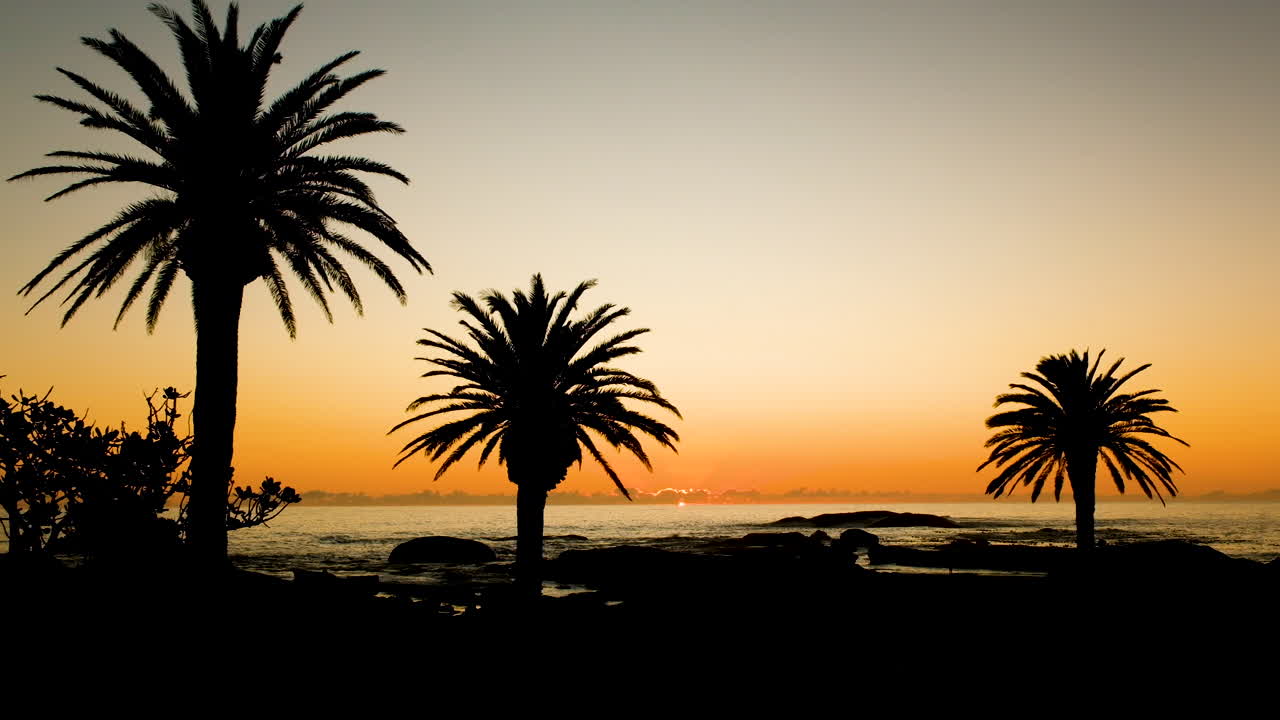 Palm tree silhouettes against golden sky over ocean at sunset