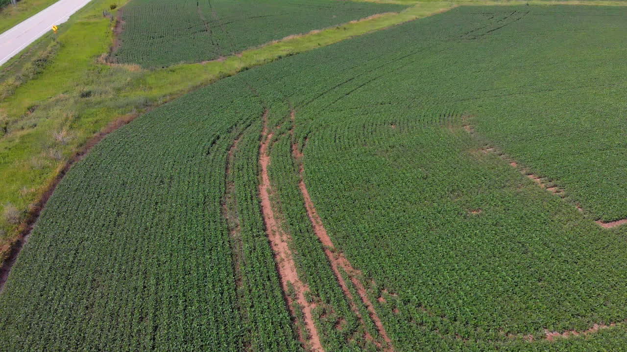 fotografía aérea exterior de 4k de cultivos y tierras de cultivo
