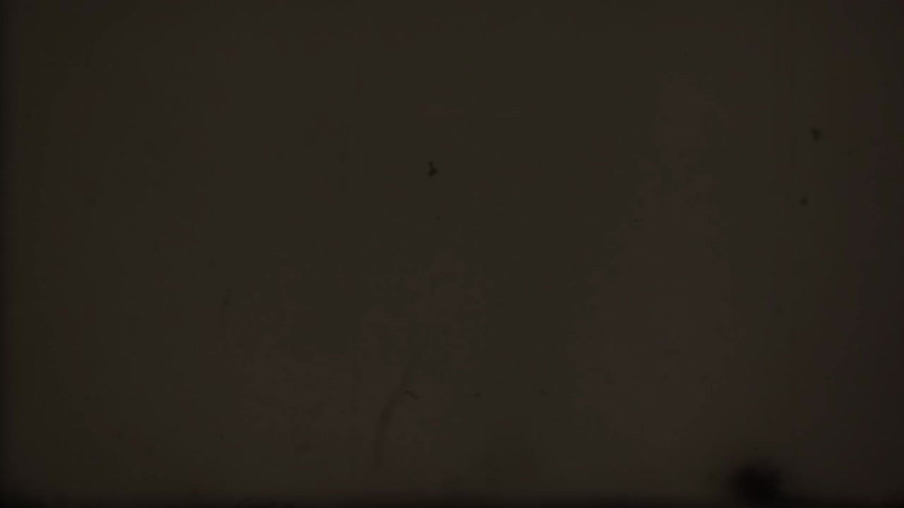 영화 리더 카운트다운, 오래된 영화 카운트다운 영화 릴, 노이즈와 스크래치가있는 오래된 영화의 모방 스 비디오