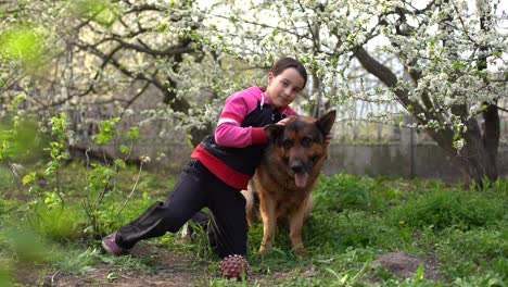 Little-blond-girl-is-looking-on-the-shepherd-dog-outdoors-in-the-park