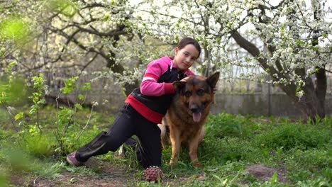 little blond girl is looking on the shepherd dog outdoors in the park