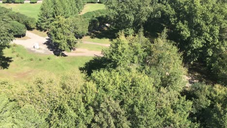 Park Aerial View
