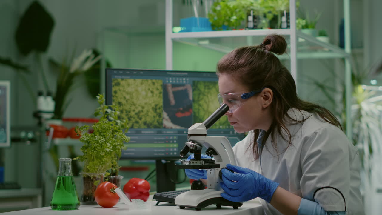 Biologist scientist looking at test sample using microscope