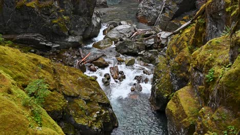 moss covered waterfall and rocks in olympic national park
