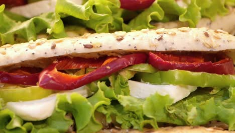 close-up of a delicious and healthy vegetarian sandwich