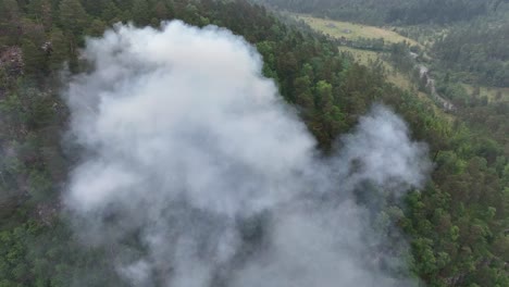 smoke from newly started forest fire on mountain ridge