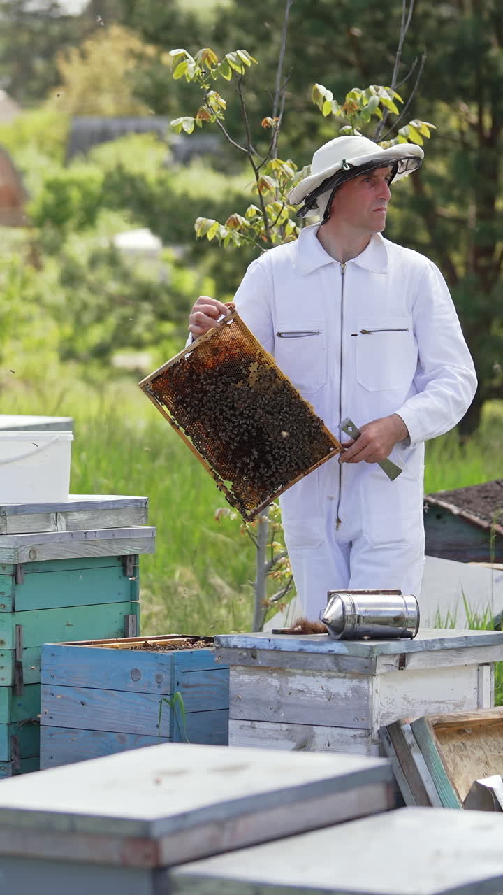 Male beekeeper in white suit near hives. Professional apiculturist working on a bee farm in summer. Wooden hives on green grass in the countryside. Vertical video