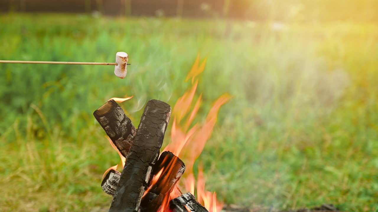 자연 속에서 캠핑하는 동안 캠프불에 마쉬멜로를 는 것.