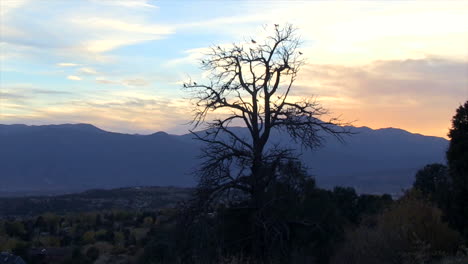 a dead tree with a beautiful mountain range in the background at sunset