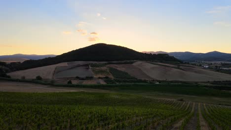 Vista-Aérea-Del-Paisaje-Sobre-Las-Colinas-De-Toscana-Con-Muchas-Hileras-De-Viñedos,-En-La-Campiña-Italiana,-Al-Atardecer