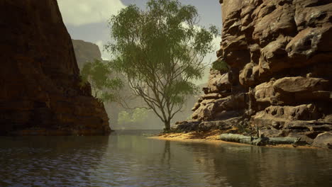 scenic view of a solitary tree by the calm water in a canyon setting