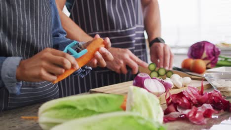 Animation-of-hands-of-diverse-couple-peeling-vegetables-and-preparing-meal-in-kitchen