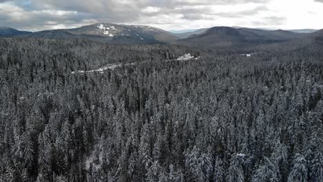 high altitude aerial dolly over mt hood national forest in winter, oregon usa