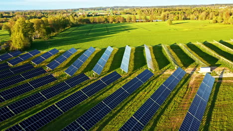 solar panels in sloped rows catch sunlight on green countryside farmland on golden hour
