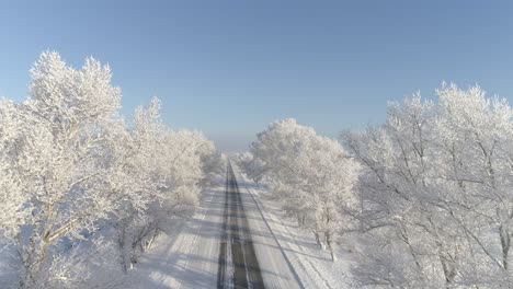 snowy road through a winter forest