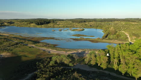 aerial showing vogelmeer with lots of birds in the netherlands