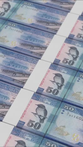 vertical video of 50 sri lankan rupee banknotes printed by a money press