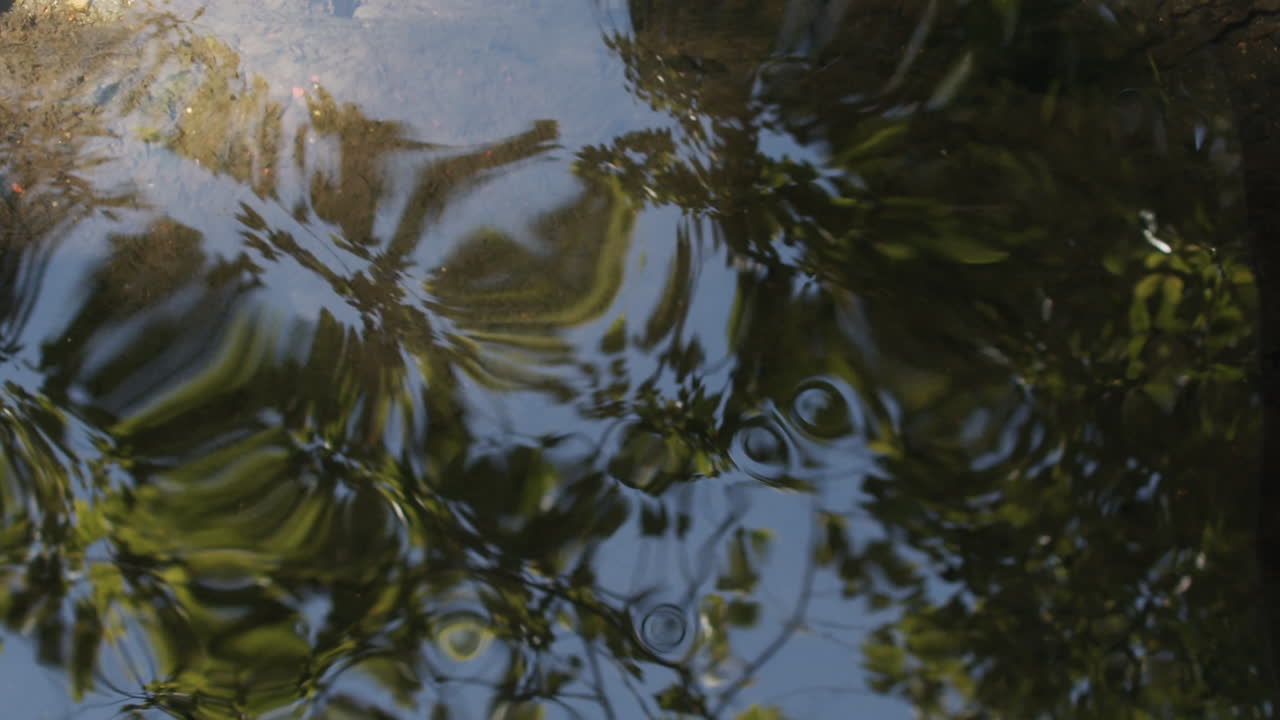 Slow motion medium shot of a stream with the sky and trees reflected in the water as the surface swirls and ripples