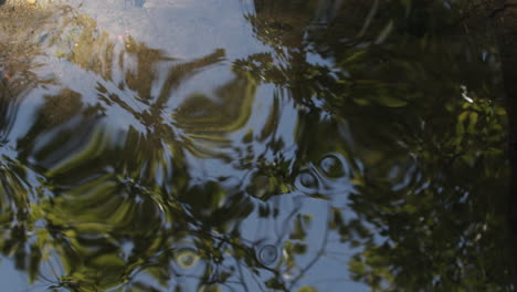 Slow-motion-medium-shot-of-a-stream-with-the-sky-and-trees-reflected-in-the-water-as-the-surface-swirls-and-ripples