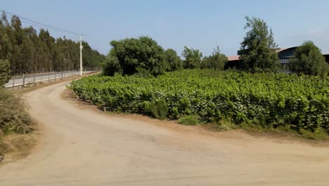 Camión-Justo-Desde-La-Entrada-Principal-De-La-Bodega-Undurraga-En-El-Valle-De-Leyda,-Chile-En-Un-Día-Soleado