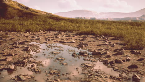 serene rocky landscape with muddy puddle and mountain view