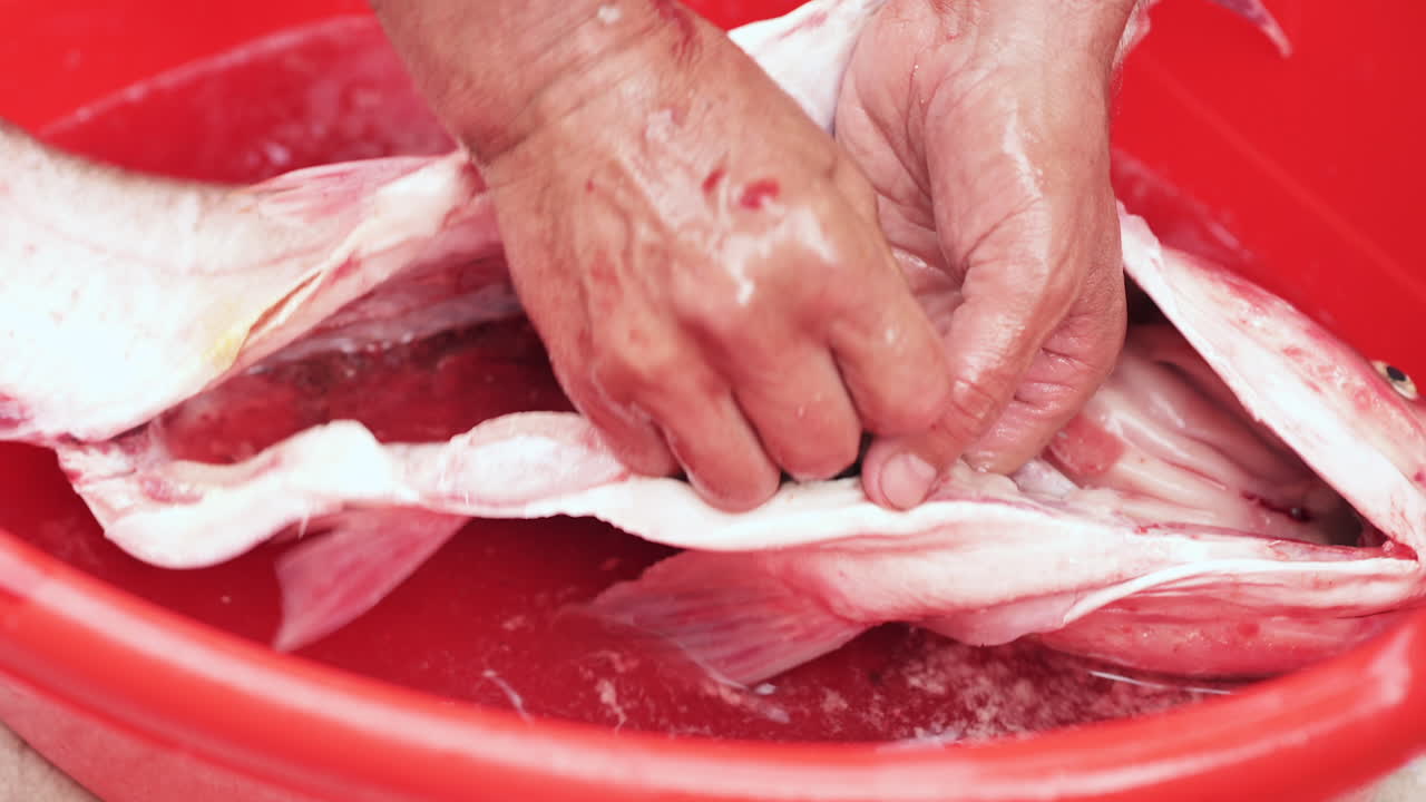 Open fish showing internal organs during cleaning process