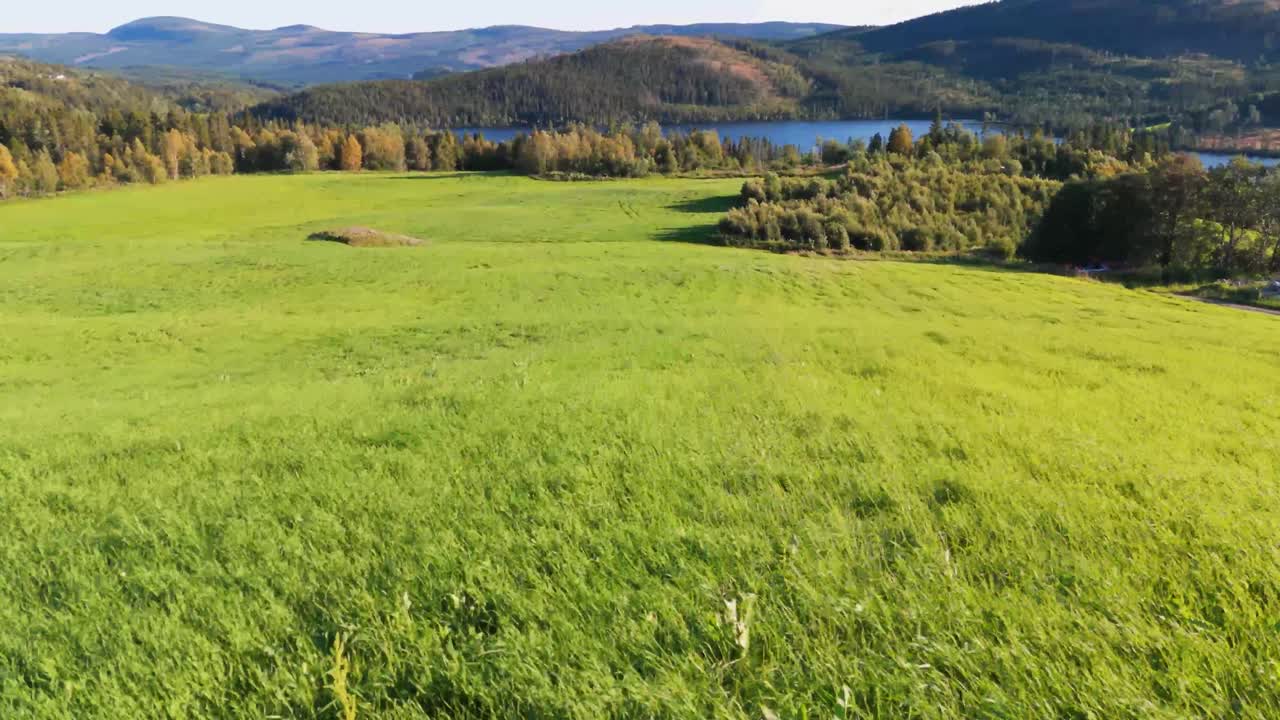 paisaje aéreo de la ladera de la hierba verde en besseggen, innlandet, noruega, con vistas panorámicas de las montañas y un valle sereno