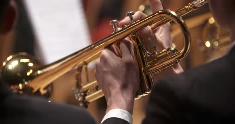 musician playing trumpet at concert 7