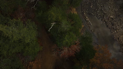 Above-View-Of-Autumn-Trees-And-Creek-On-Cedar-Flats-In-Banyard,-Arkansas,-USA