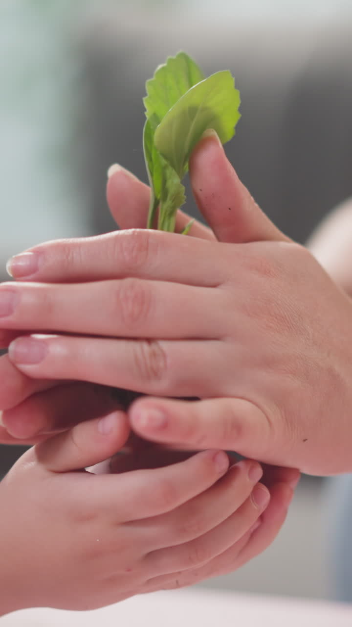 Woman gives young seedling to smiling little son at table closeup slow motion. Mother teaches toddler boy to love plants. Horticulture hobby