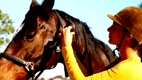 mujer de pie con el caballo en el rancho 4k