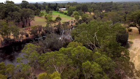 Una-Pequeña-Lancha-Recorre-El-Río-Swan-En-Viveash-En-Australia