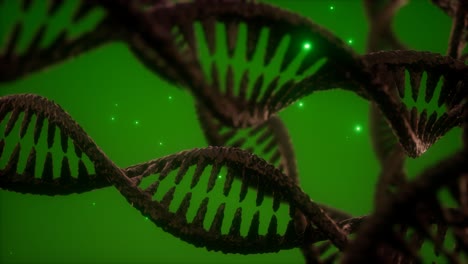 Struktur-Der-DNA-Doppelhelix-Animation