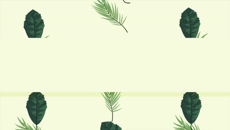 tropical exotics leafs ecology animation pattern