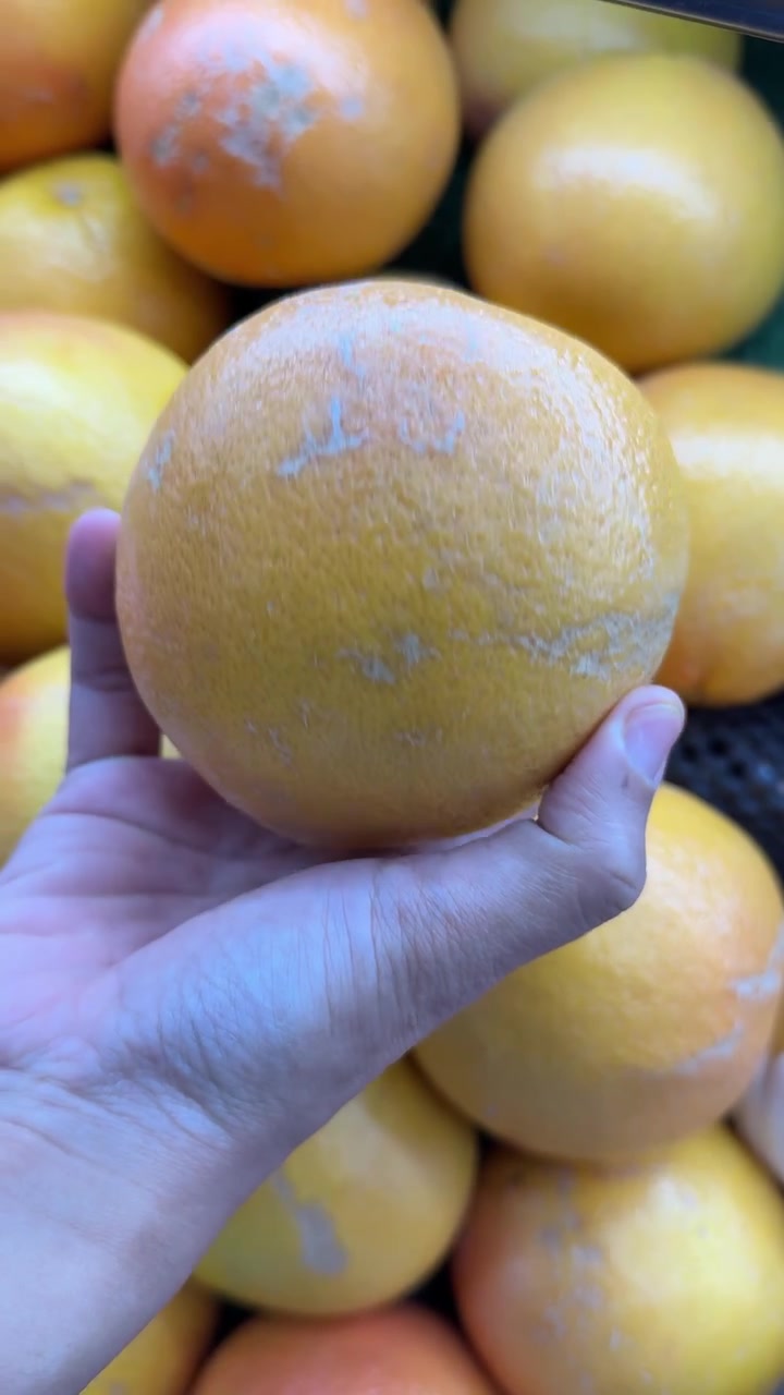 Mano che seleziona pompelmi freschi in un negozio di alimentari