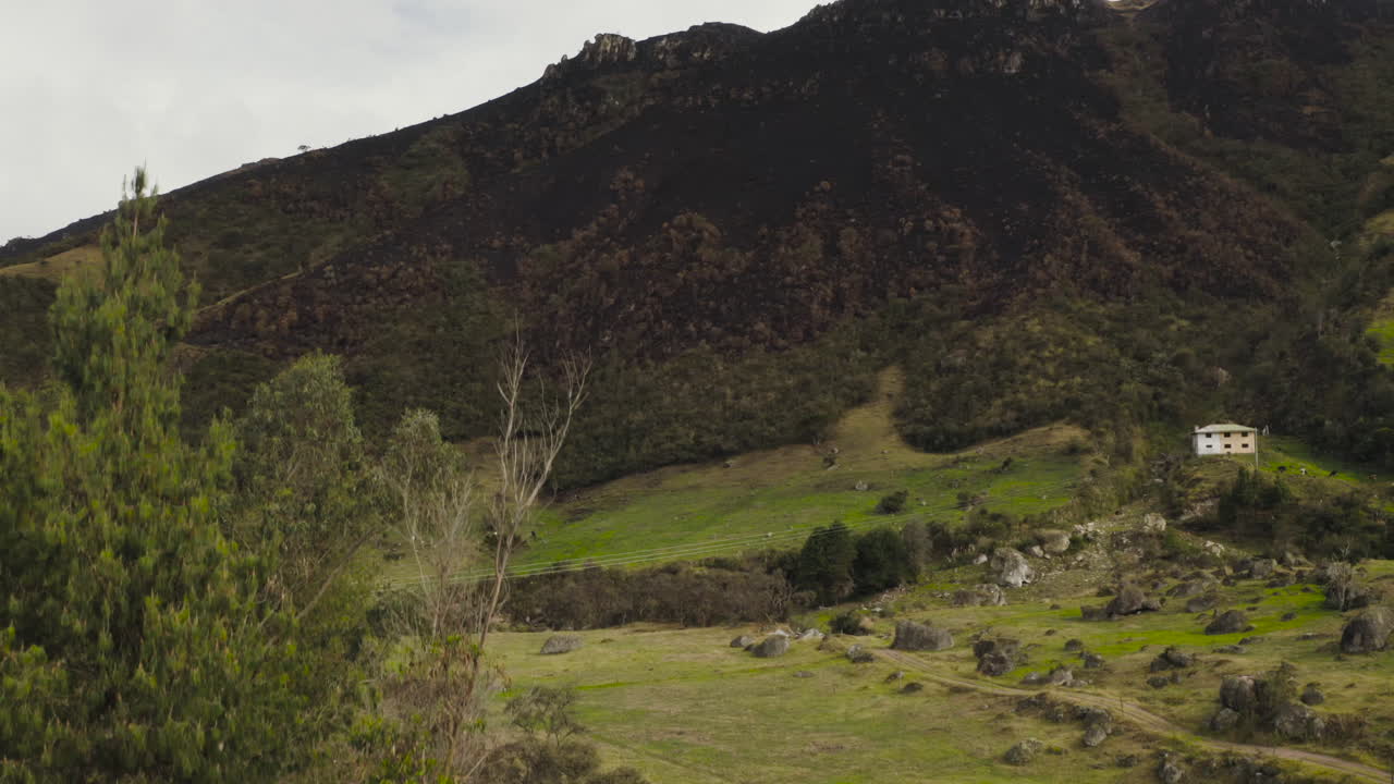 Aerial view, destruction by forest fire, El Cajas National Park, Cuenca Ecuador.