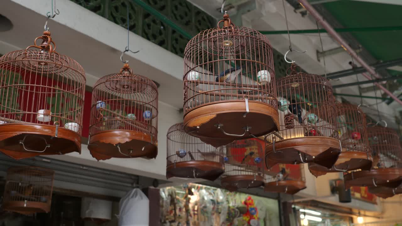 variadas jaulas para pájaros a la venta cerca del jardín de pájaros yuen po en mongkok, kowloon, hong kong