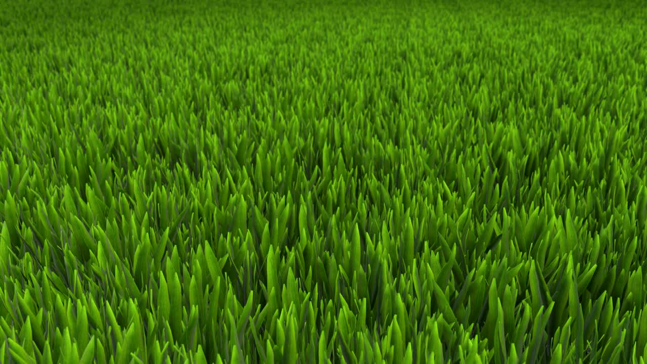 el césped es una animación en 3d.