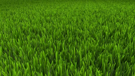 grass 3d animation videok