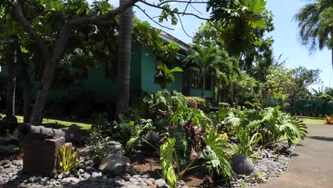 tropical house with lush garden and cannon