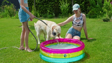 kids and dog having fun in a backyard pool