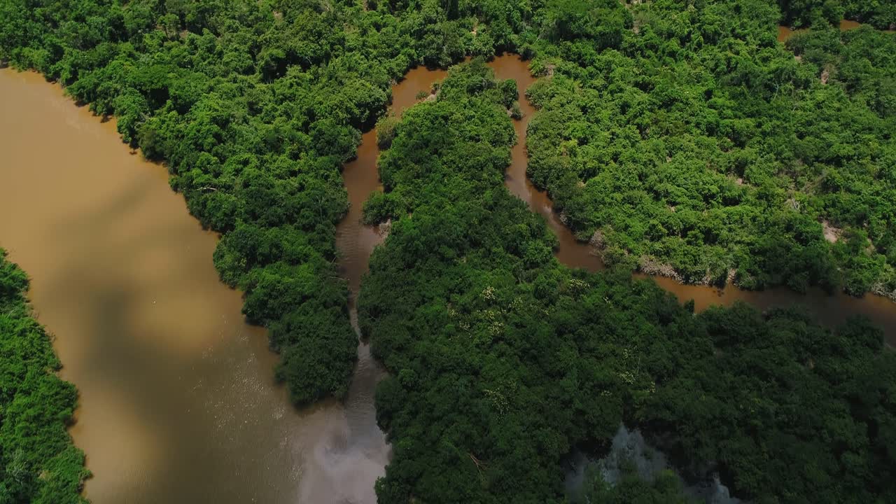 Distributary channels of Caravelas River estuary in Caravelas Bahia Brazil flowing through mangrove forest with species Rhizophora mangle, Avicennia schaueriana and Laguncularia, drone top down reveal