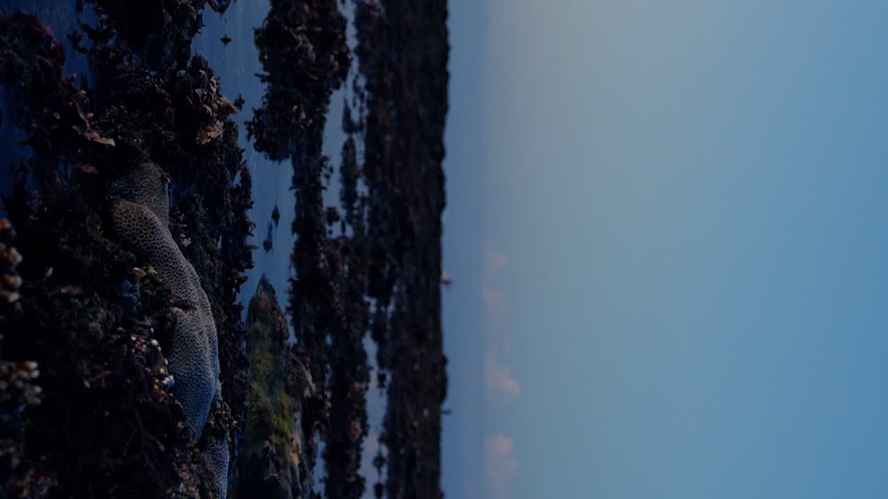 tomada vertical de ángulo bajo durante la marea baja en la playa de suluban en bali con enfoque en las piedras en el mar con charcos más pequeños que reflejan el horizonte azul durante la hora azul