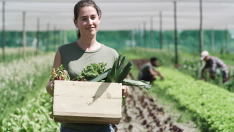 woman farmer harvesting vegetables in greenhouse