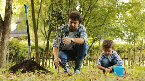 closeup. portrait of a little boy and his dad planting a tree. dad puts the soil on the roots of the tree. dad touches the tree. blurred background