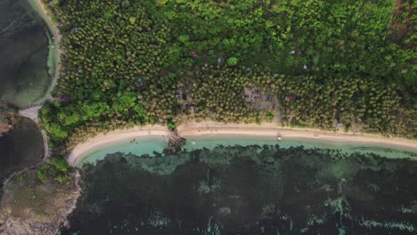 virgin beach private island tropical forest philippines southeast asia, aerial