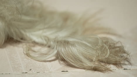 little dog's white feather tail moving close up shot