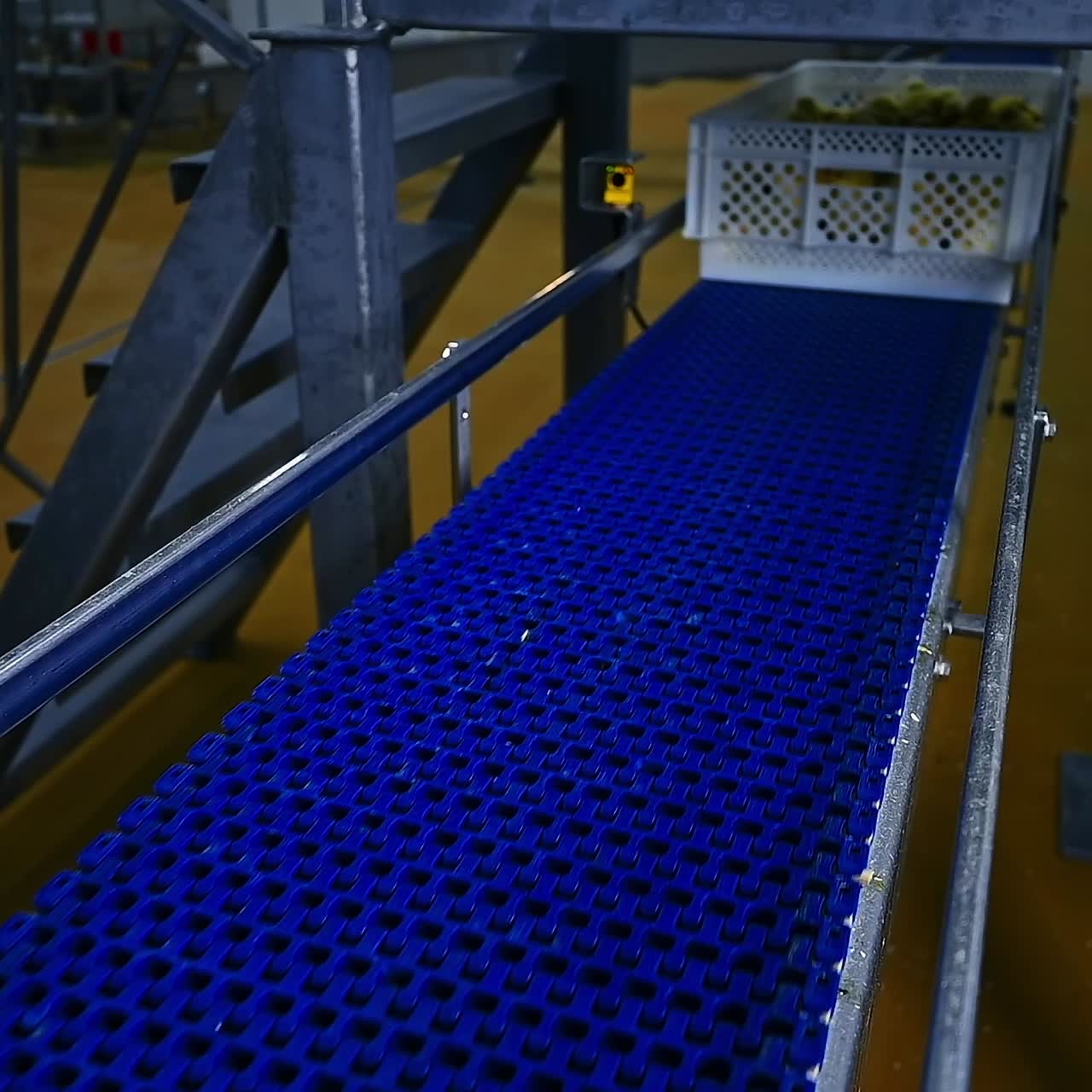 Beautiful fluffy little chicks. Many newborn yellow chickens in a plastic drawer on a poultry farm. Chicken production